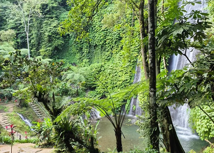 Tamblingan Village - Luxury In 别墅 姆杜克
