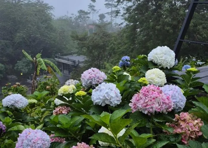 Tamblingan Village - Luxury In 别墅
